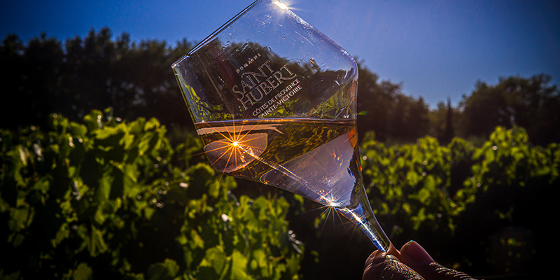 Domaine viticole & oléicole en Provence visuel bloc vin rose3b