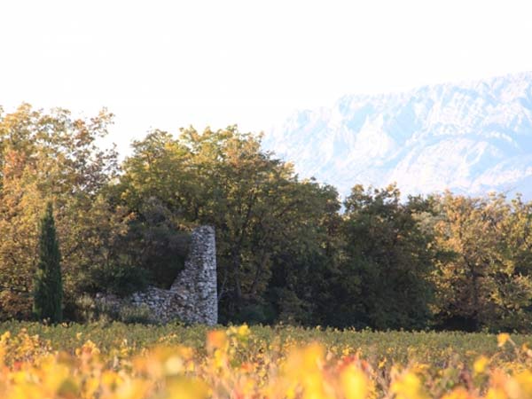 vignoble sainte victoire